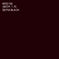 #220106 - Sepia Black Color Image
